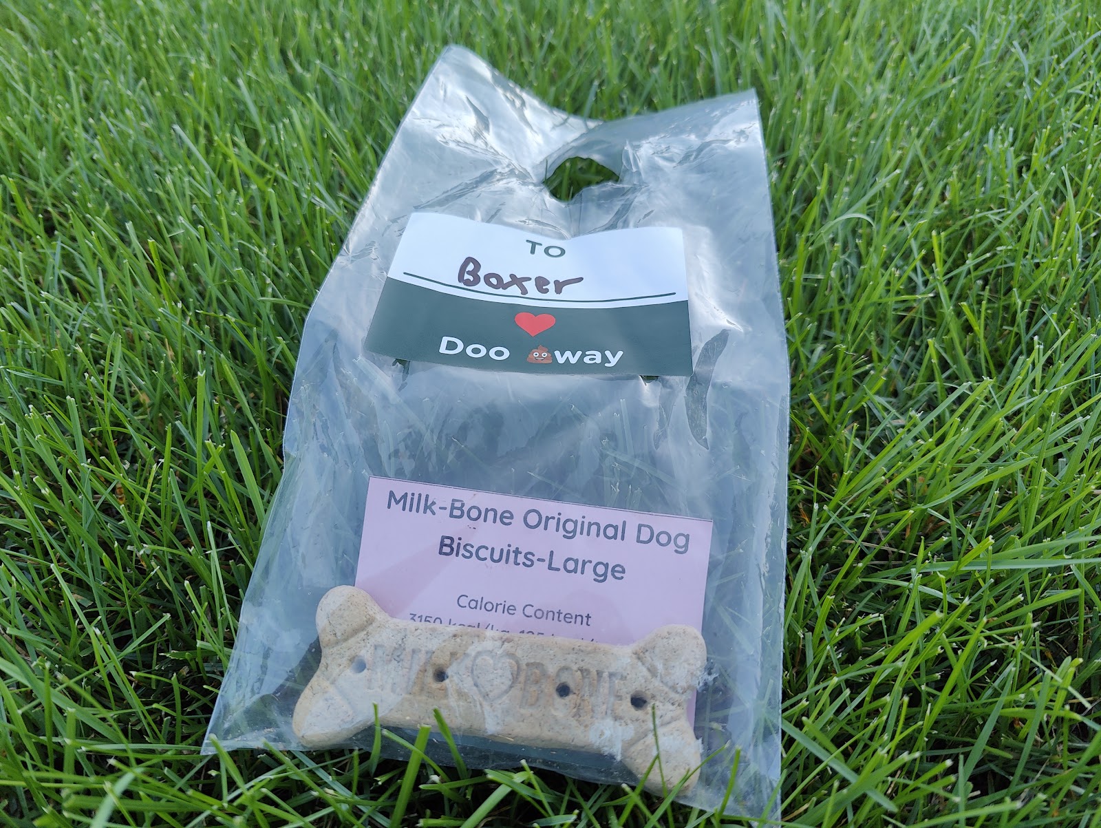 Doo Away Dog Waste Removal Service