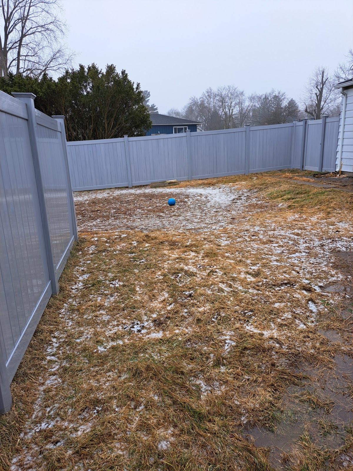 Clean Pups Poop Scooping - Photo 2