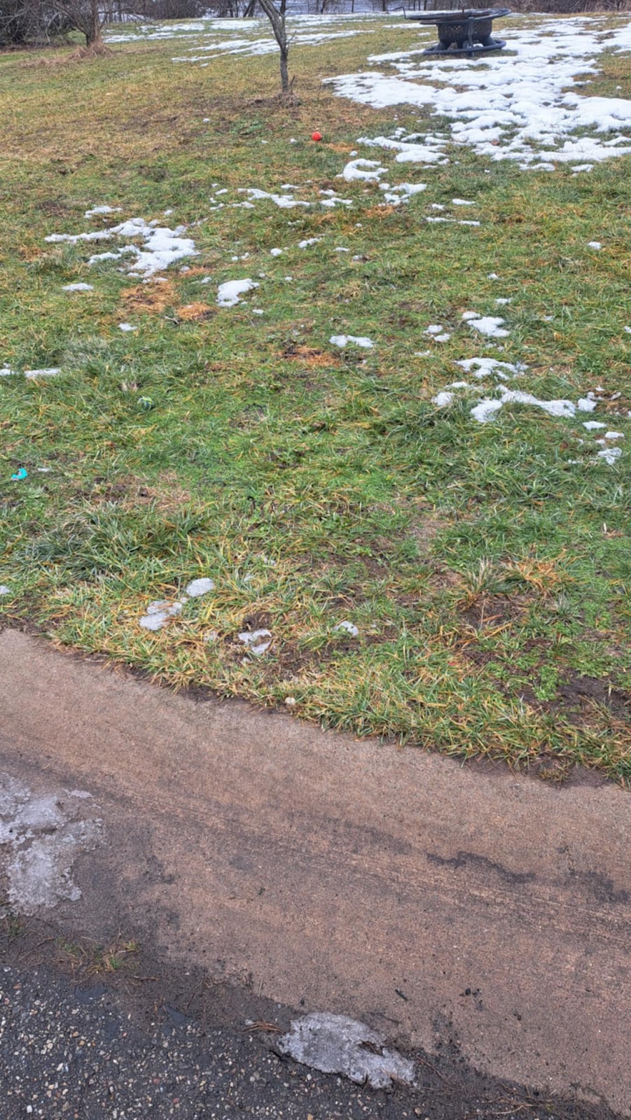 Clean Pups Poop Scooping - Photo 4