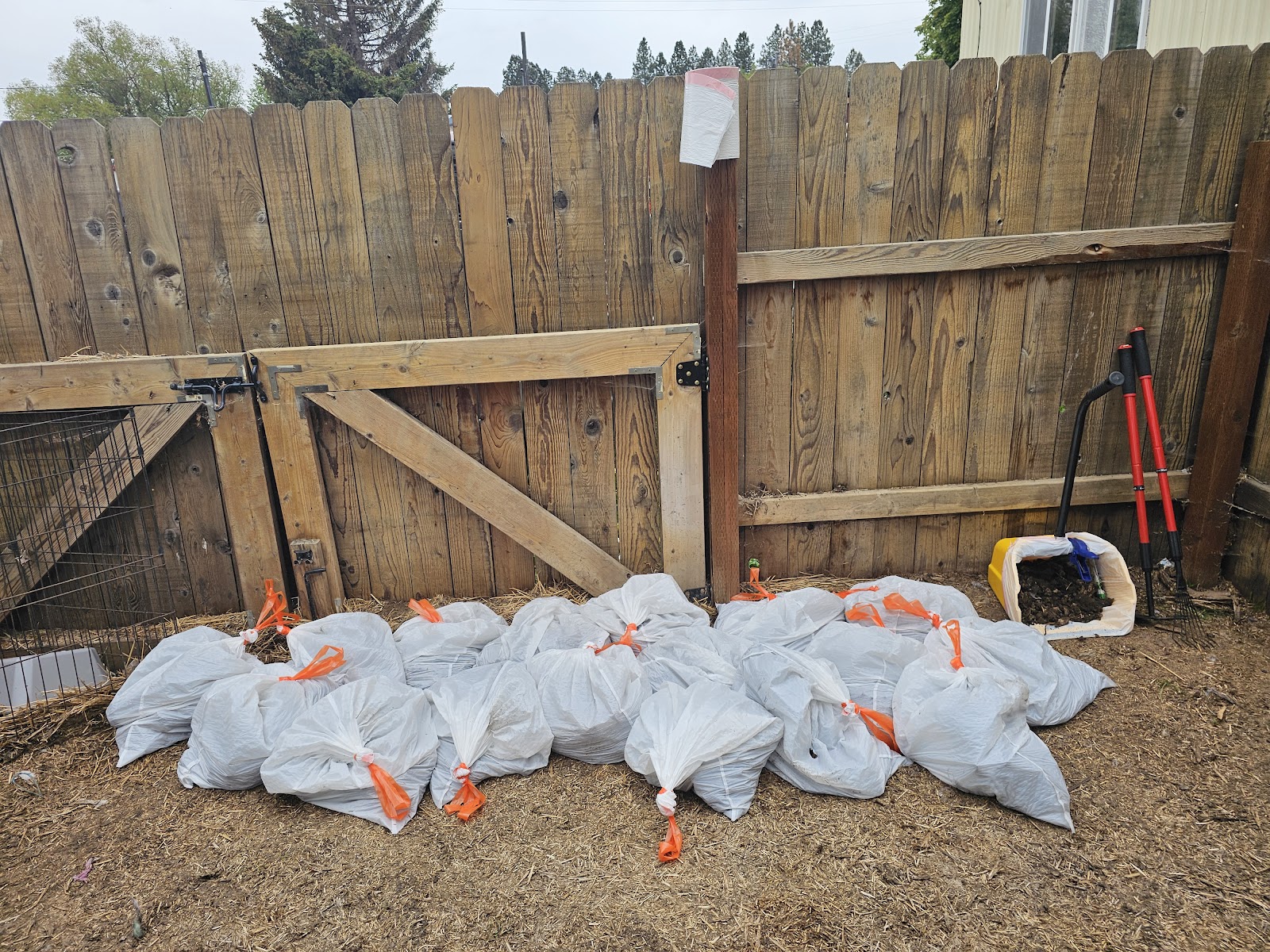 Scoop Crew LLC - Photo 3