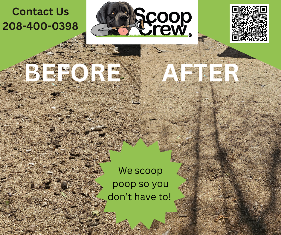 Scoop Crew LLC - Photo 4