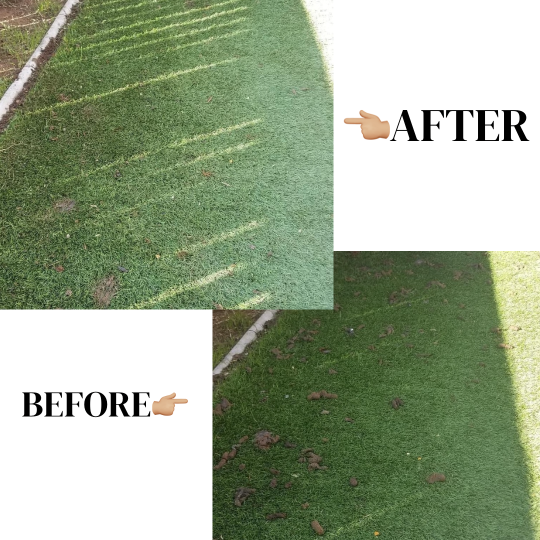 Poo Patrol - Photo 2