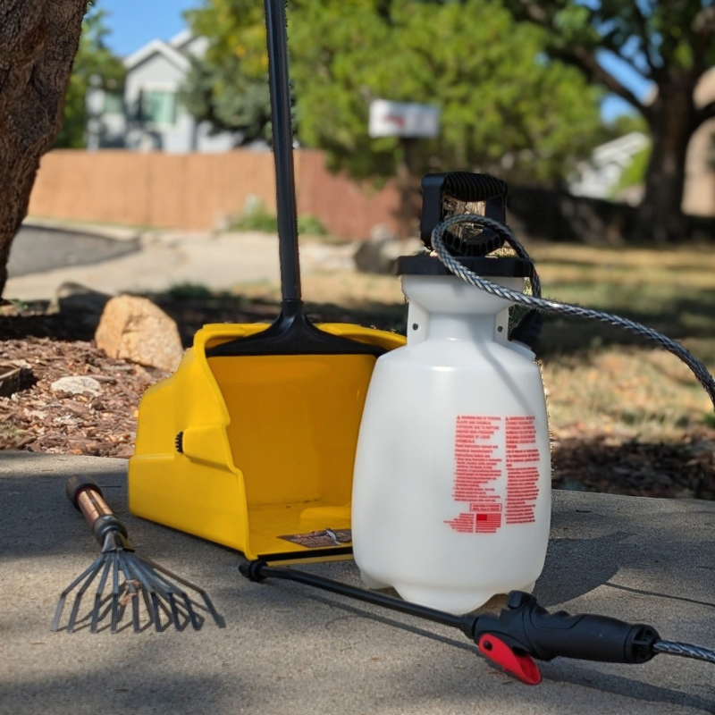 All-Pro Scoopers - Photo 2