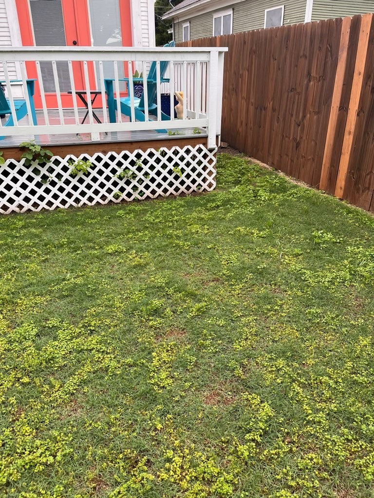 Magic Unicorn Pooper Scooper and Dog Walkers