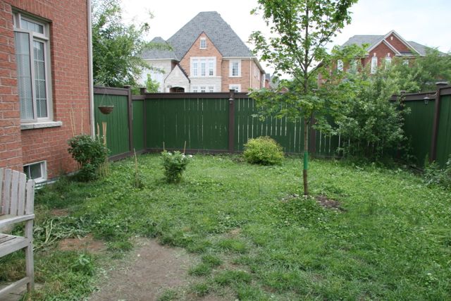 Magic Unicorn Pooper Scooper and Dog Walkers - Photo 3