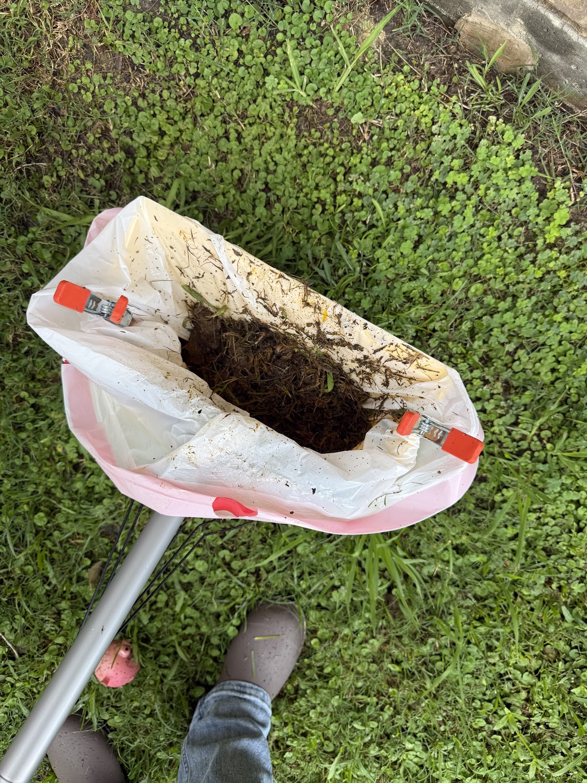 Firedog Scoops - Photo 4