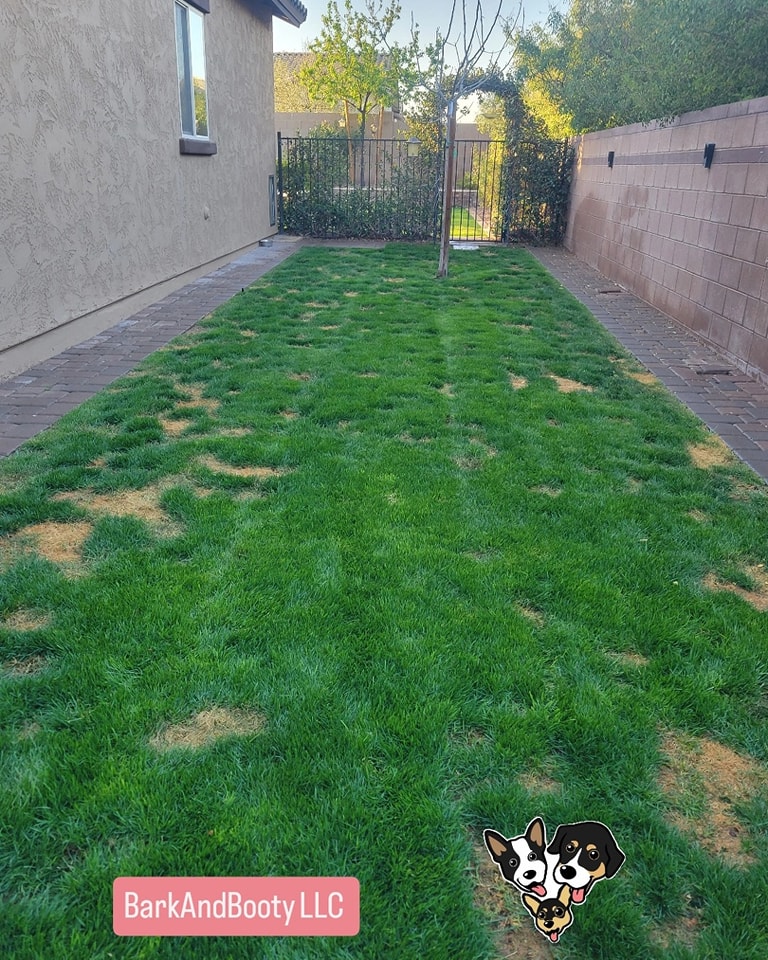 BarkAndBooty Dog Poop Scooper - Pet Waste Removal - Photo 3