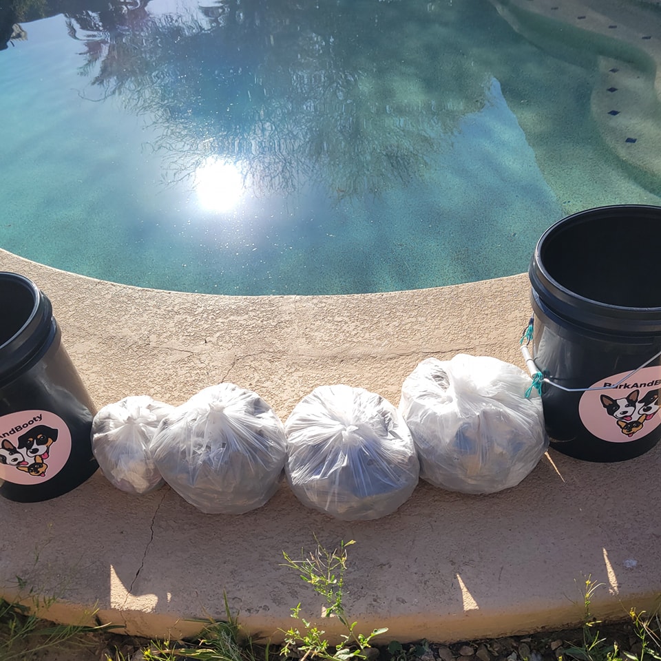 BarkAndBooty Dog Poop Scooper - Pet Waste Removal - Photo 4