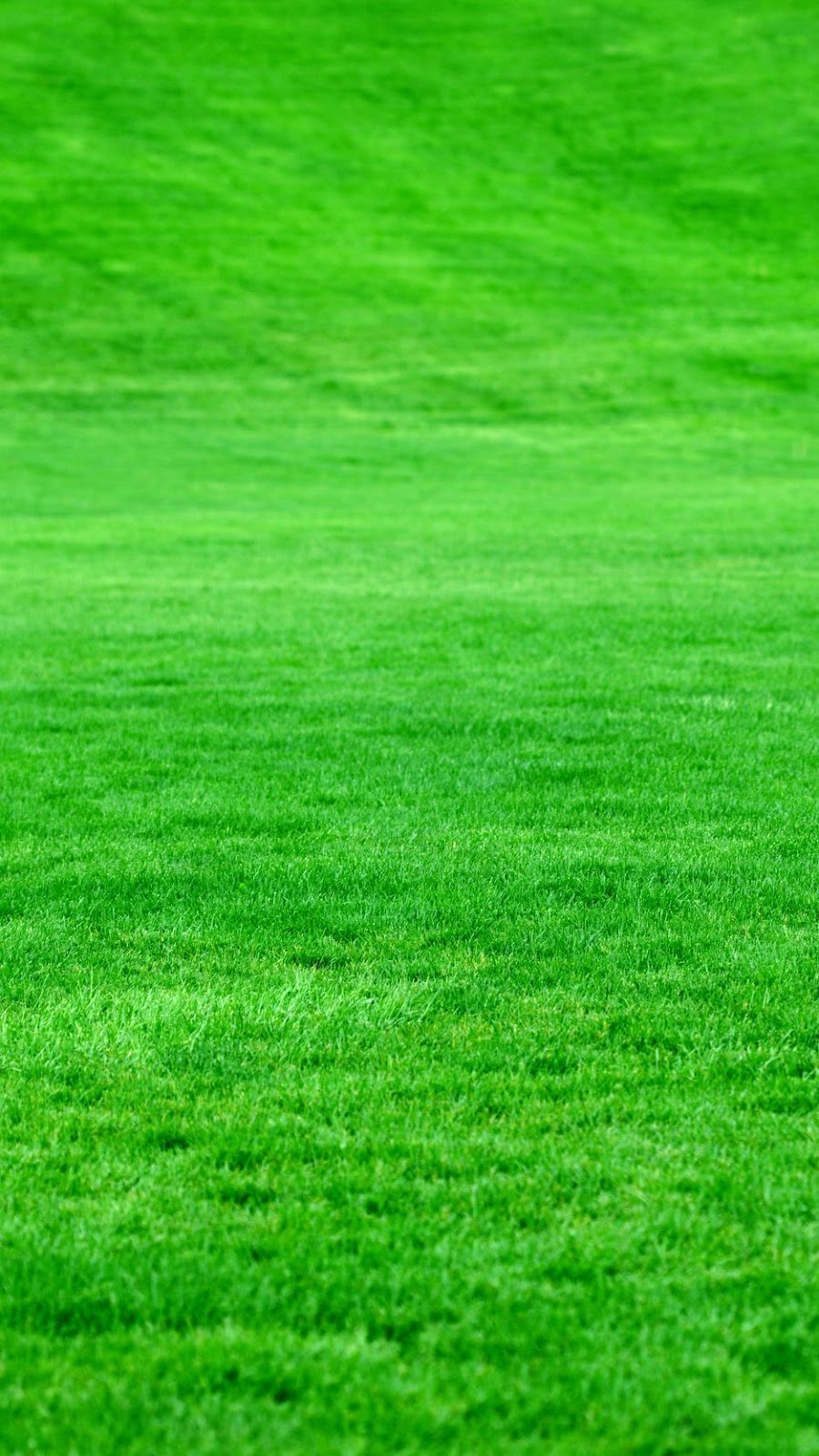 Potty Poop Pick Up - Photo 2