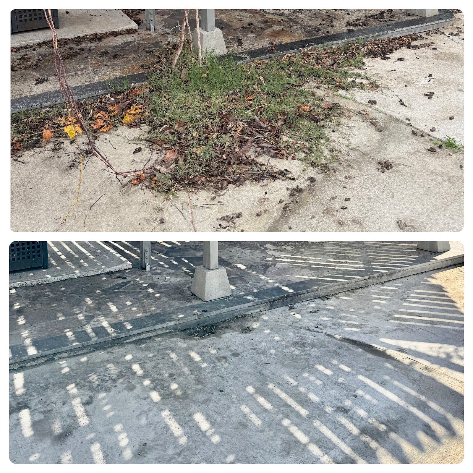 Potty Poop Pick Up - Photo 4