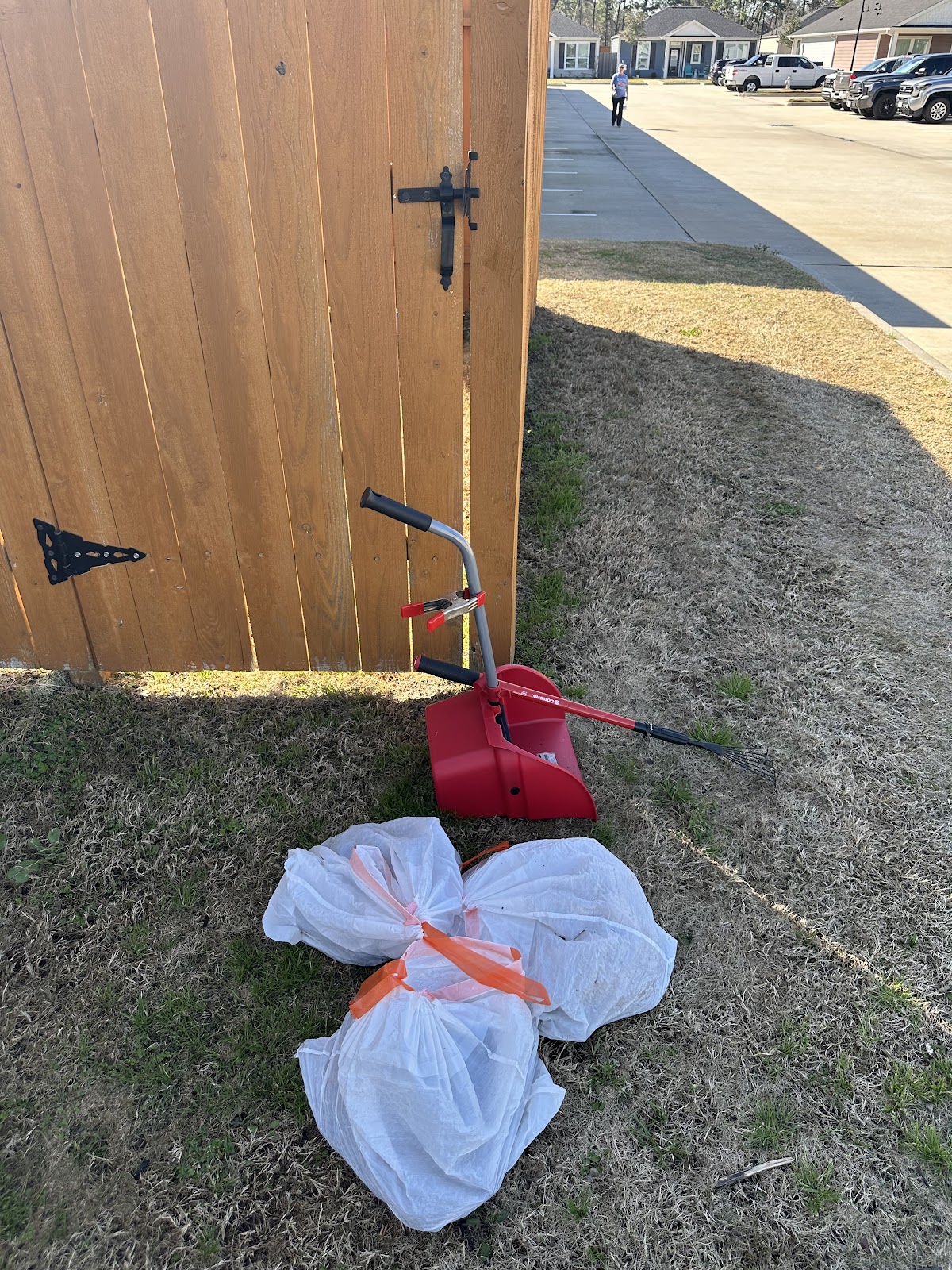 Stellar Pet Cleanup - Photo 2