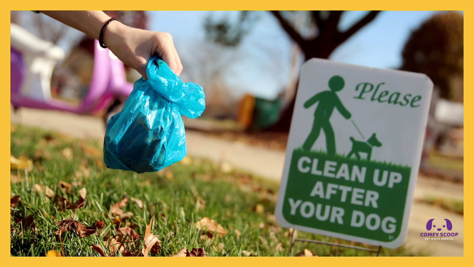 Comfy Scoop - Photo 2