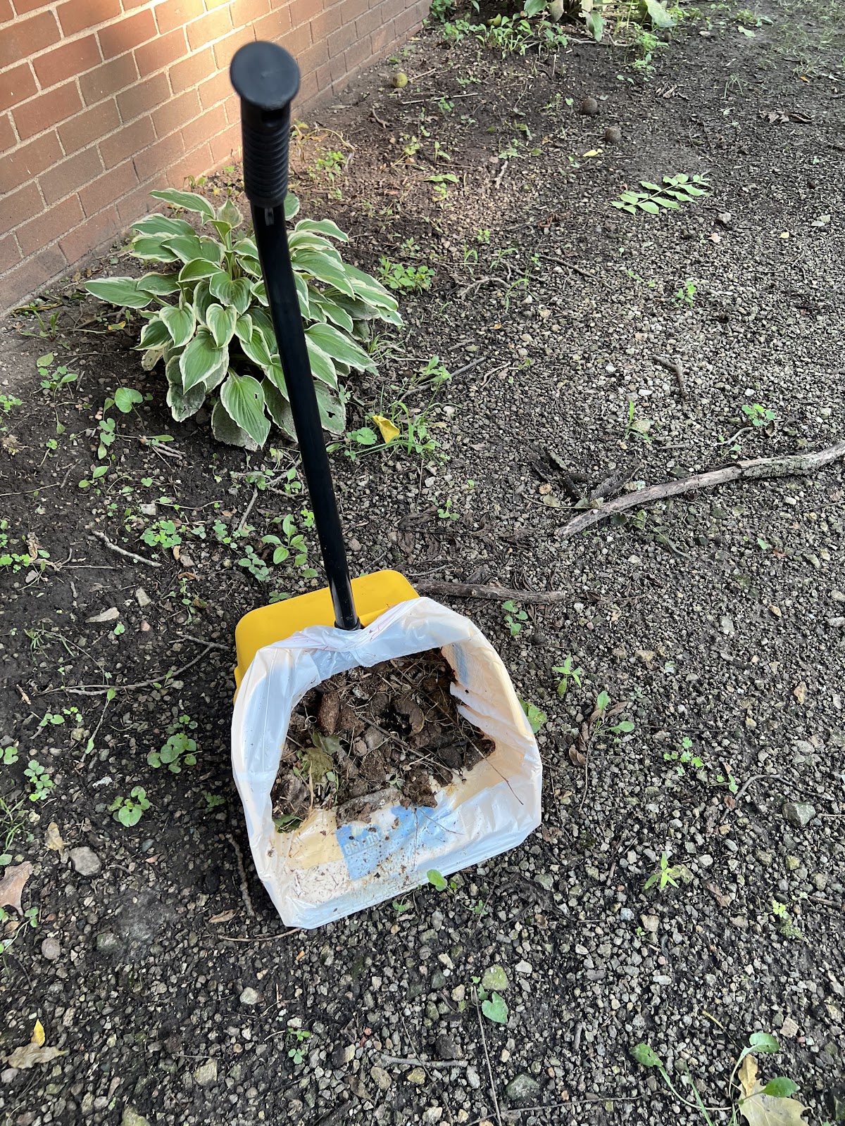 Indy Pet Waste Removal