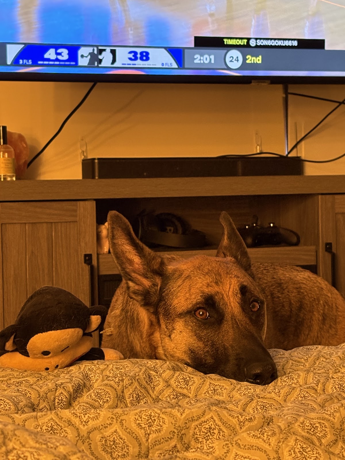 Indy Pet Waste Removal - Photo 3