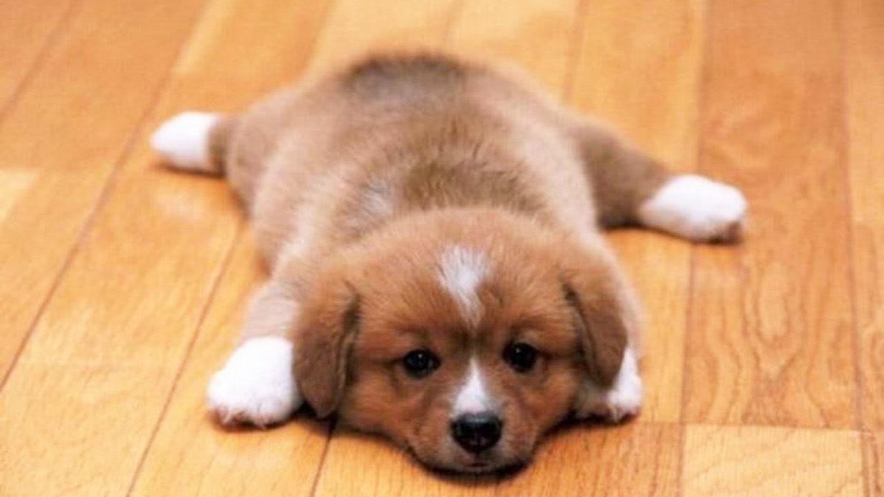 Scoop Hero - Photo 4