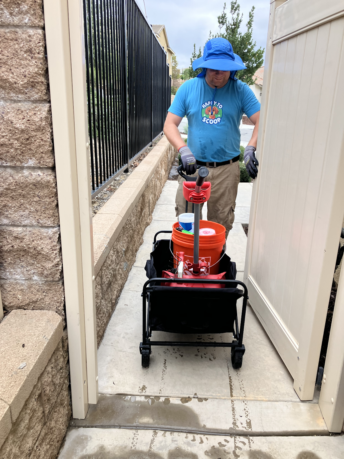 Happy To Scoop - Photo 4