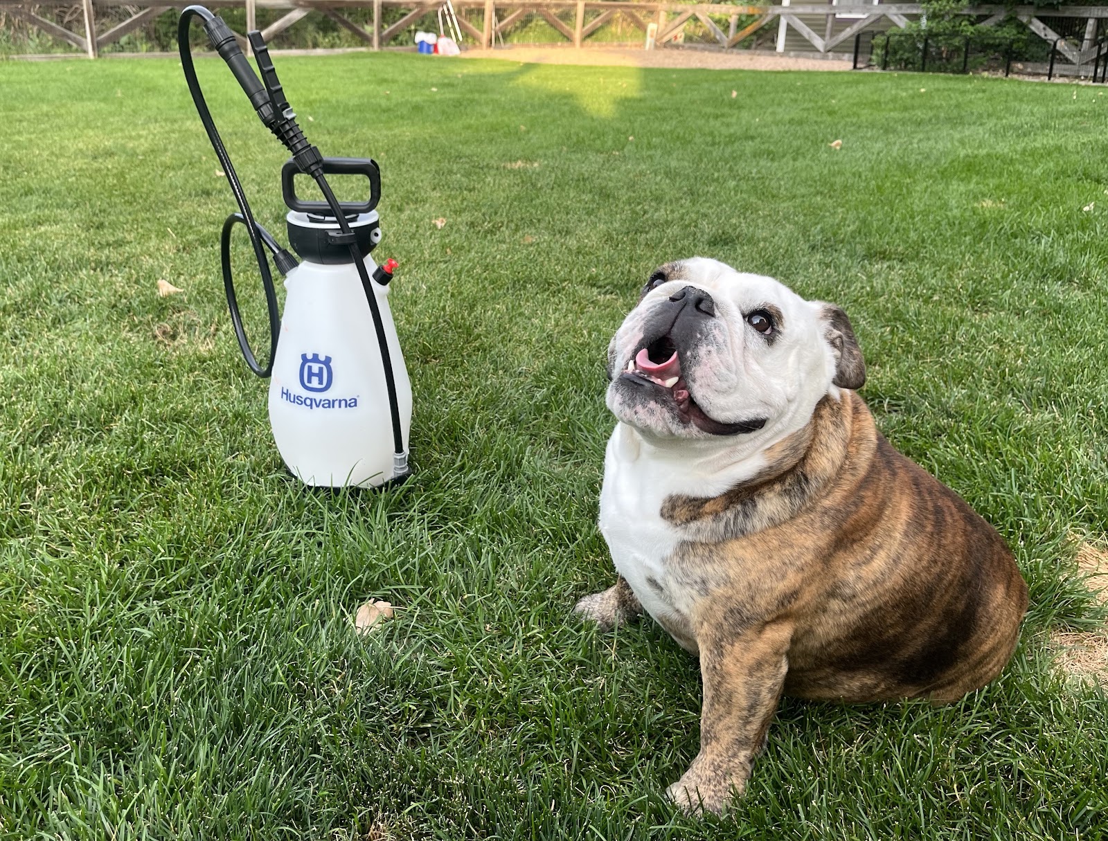 Erie Pooper Scoopers - Photo 2