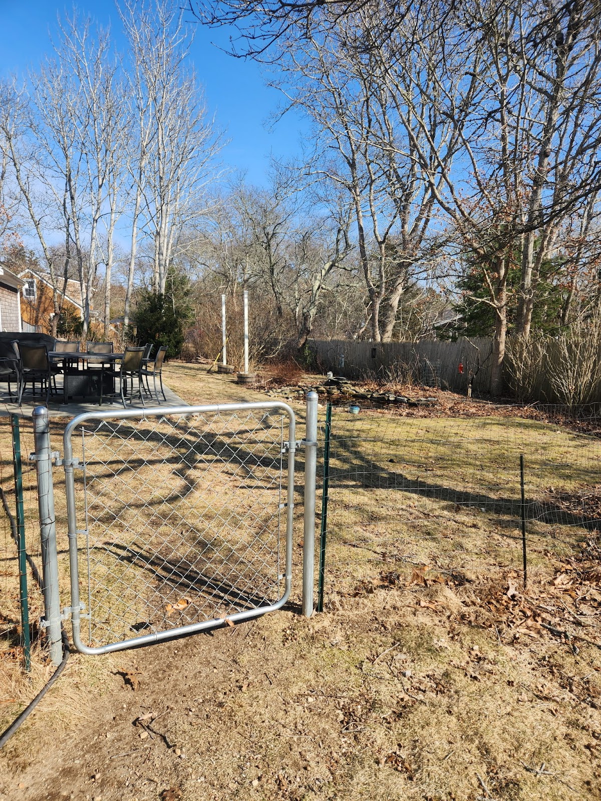 Cape Cod Dog Waste Removal - Photo 2