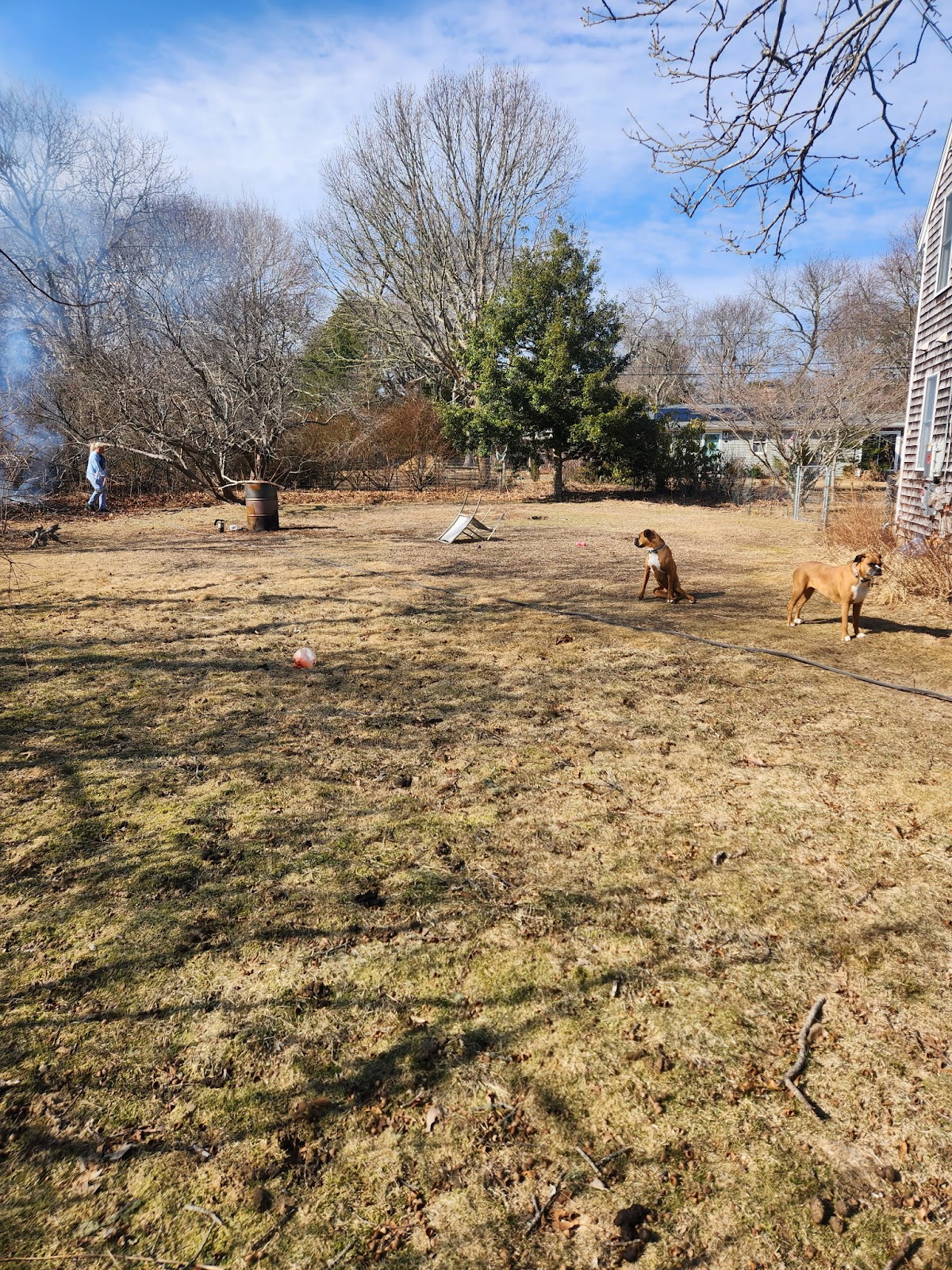 Cape Cod Dog Waste Removal - Photo 3