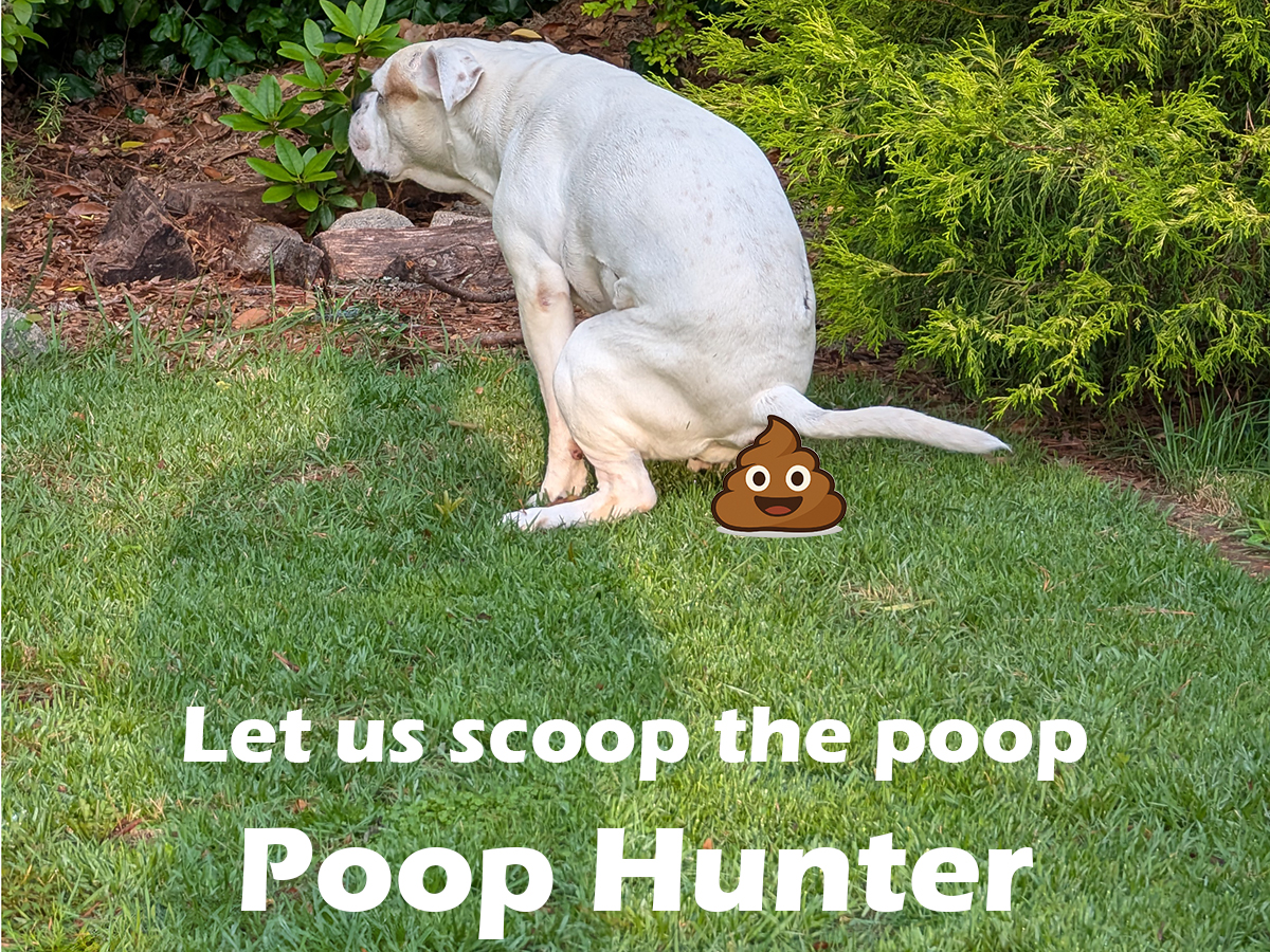 Poop Hunter - Raleigh - Durham - Cary