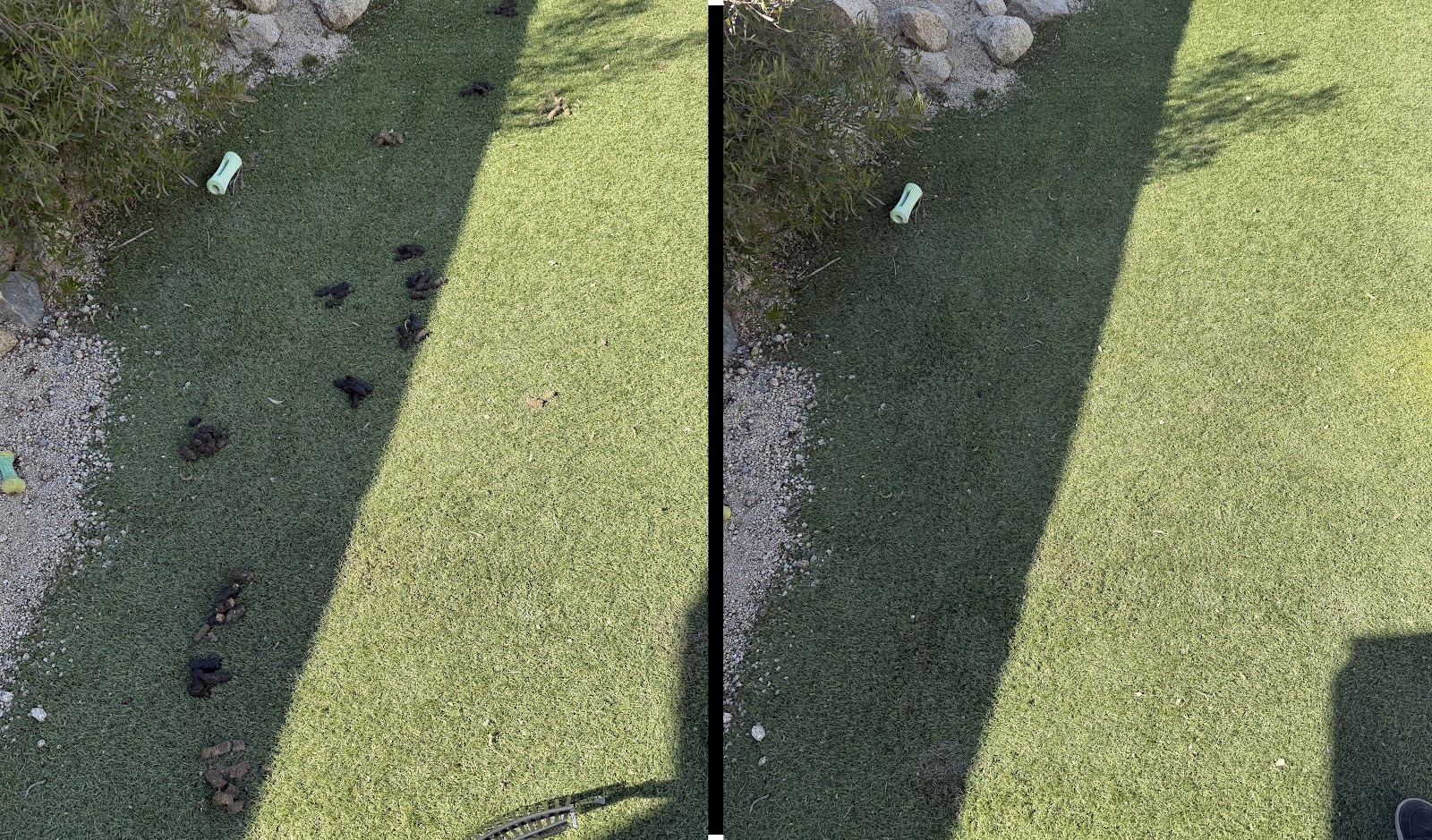 Scoop Crew - Photo 3