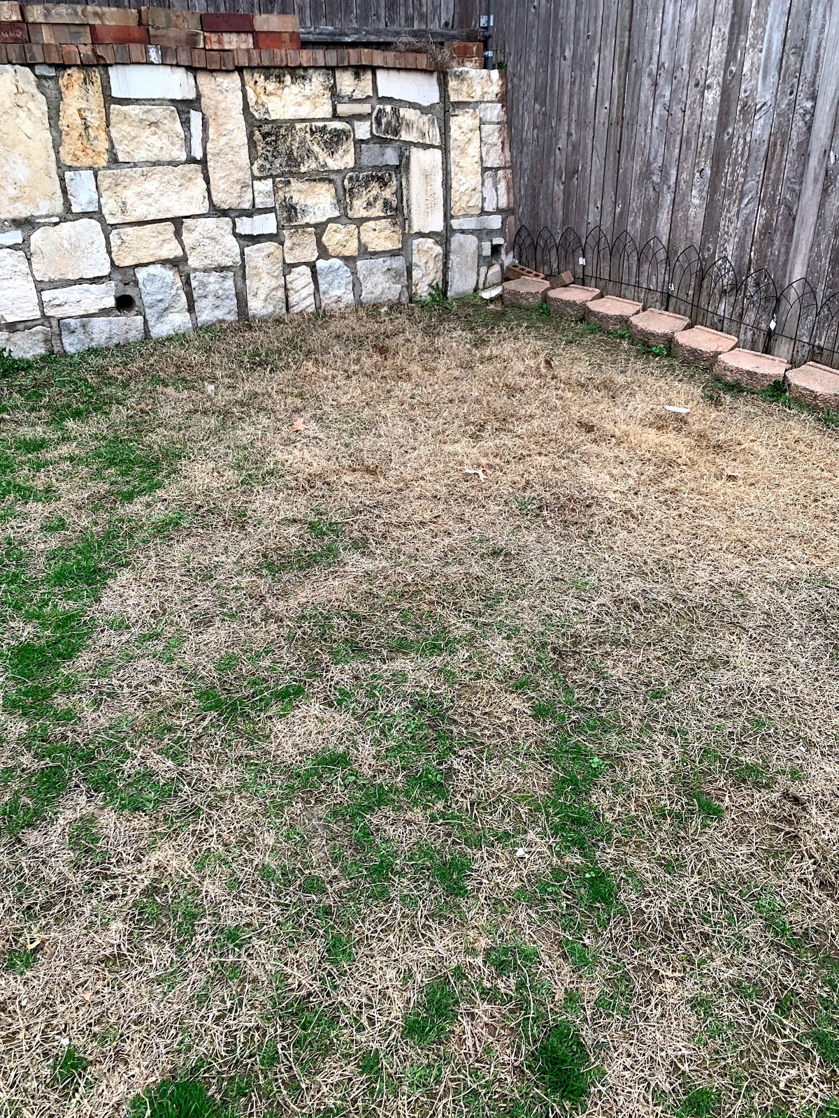 Pet Doodie Waste Management Services - Photo 2