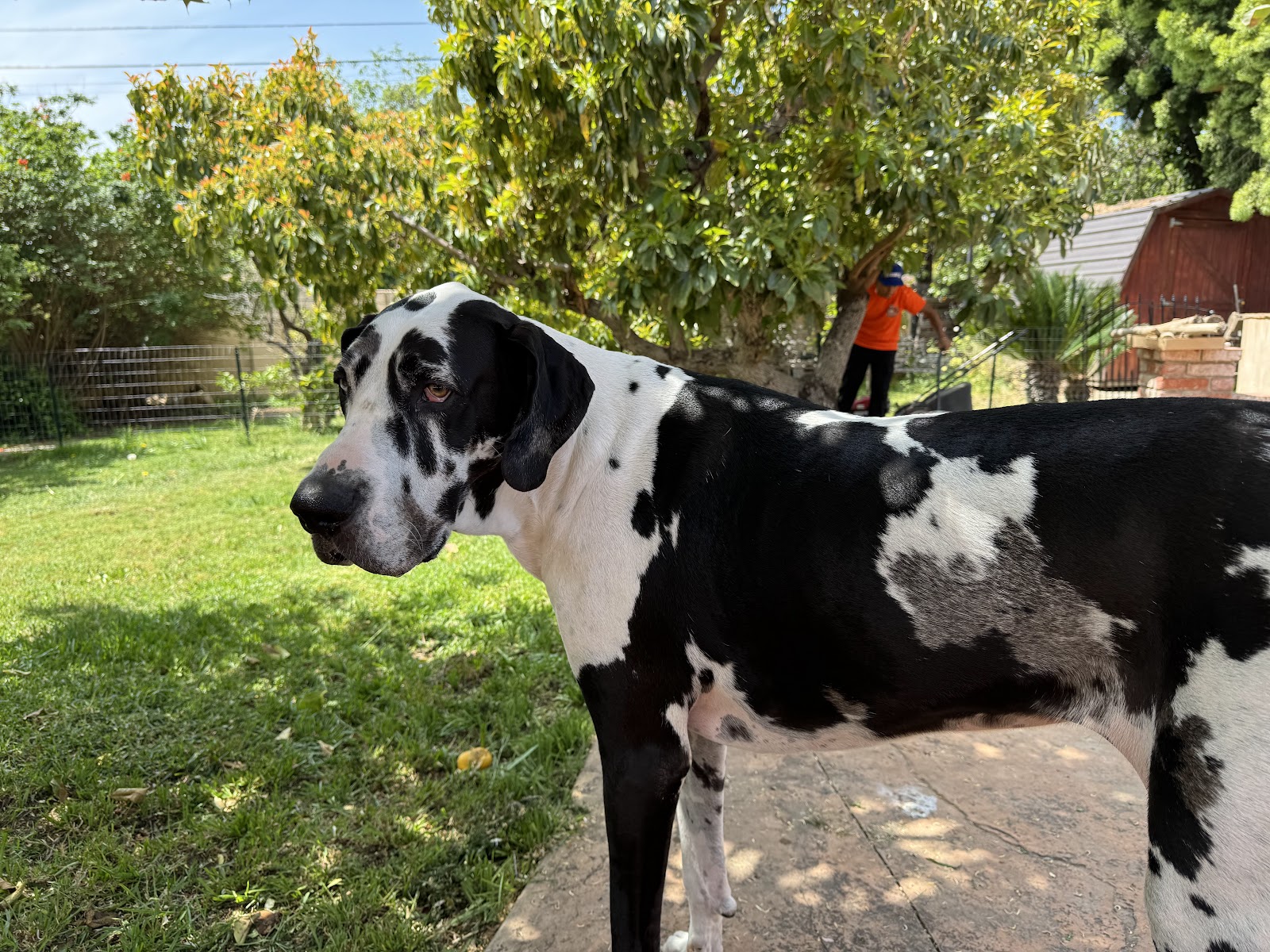 We Scoop LA - Photo 3