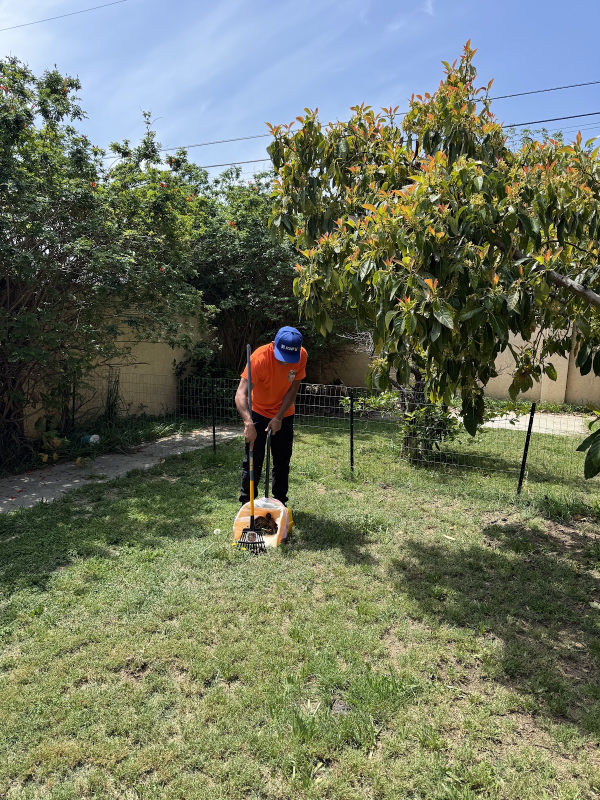 We Scoop LA - Photo 4