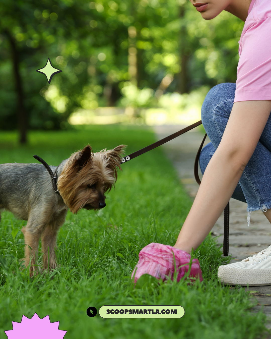 ScoopSmartLA - Photo 2