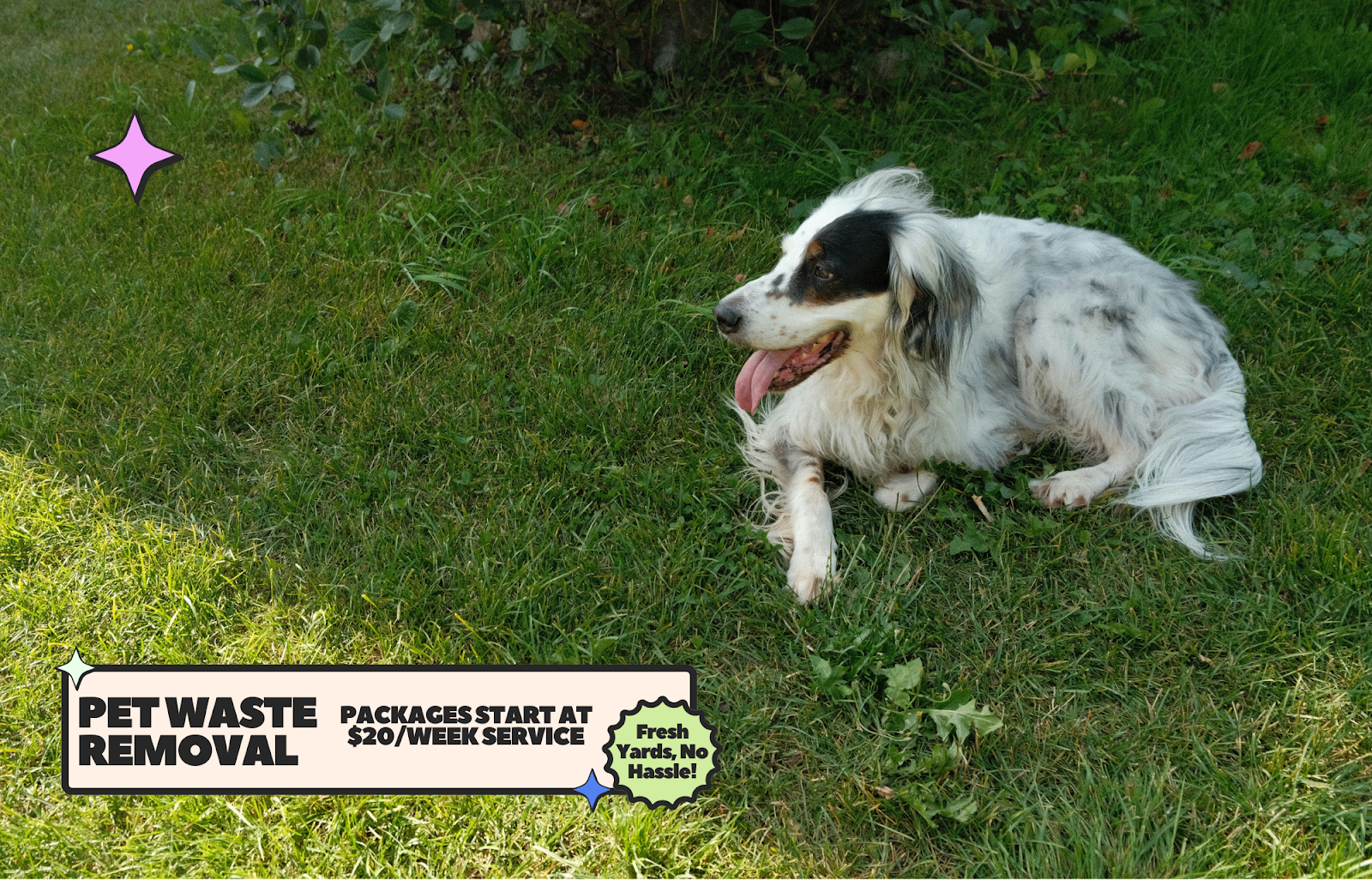 ScoopSmartLA - Photo 3