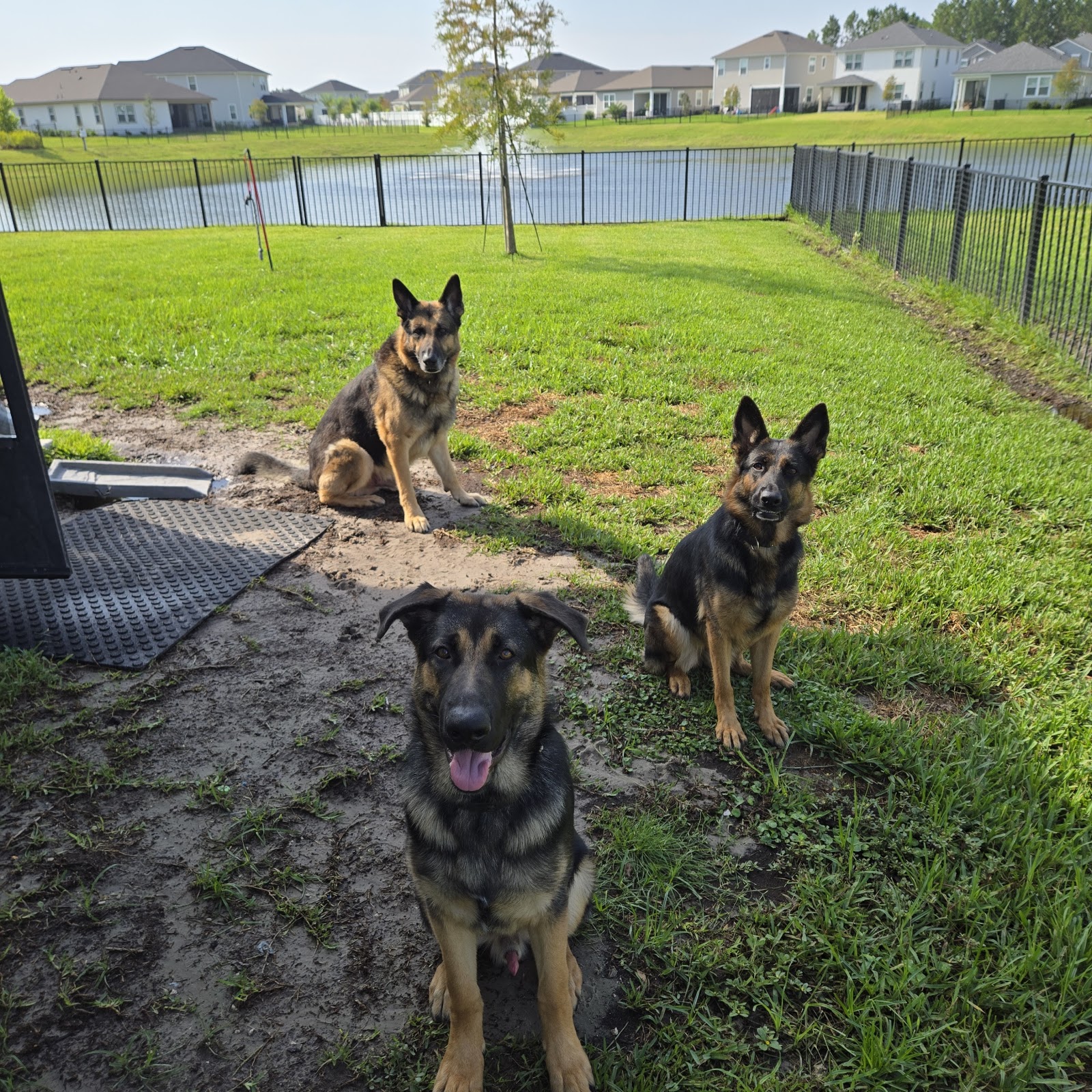 The Scoop Wizards - Photo 2