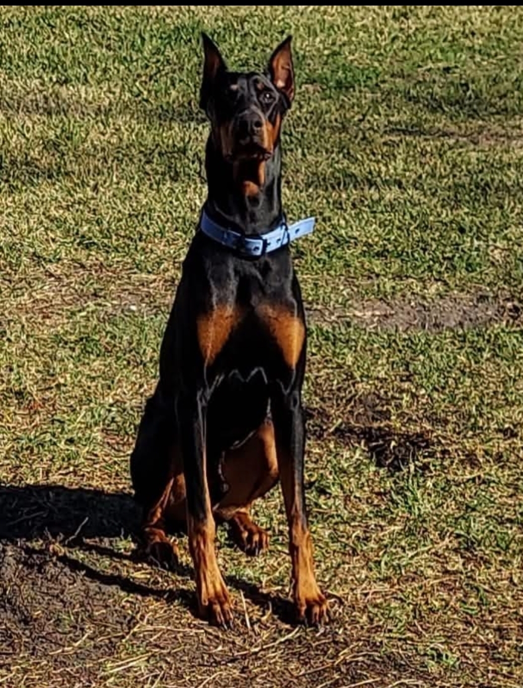 The Scoop Wizards - Photo 4