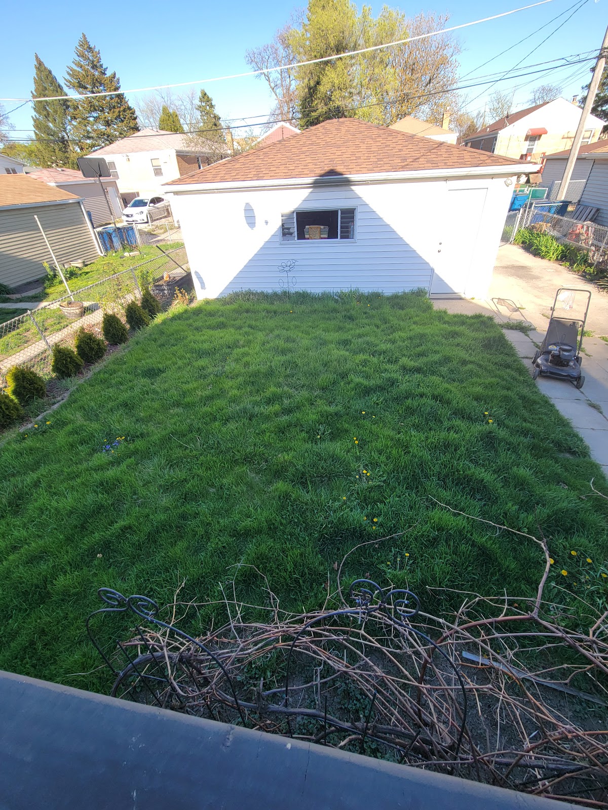 Scoop Squadron - Photo 2