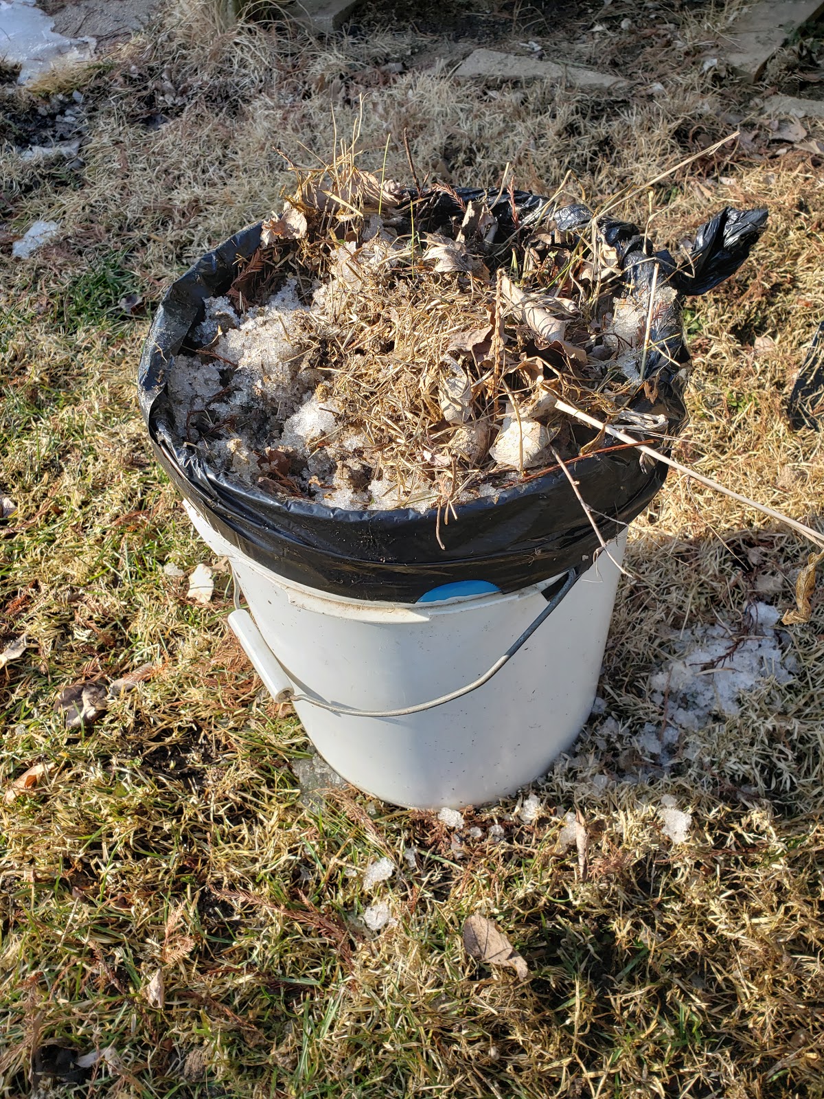 Top Dog Waste Service - Photo 2