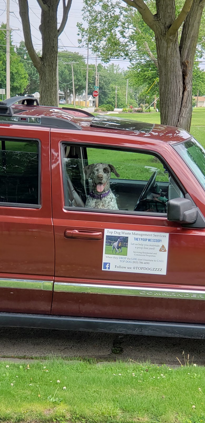 Top Dog Waste Service - Photo 3