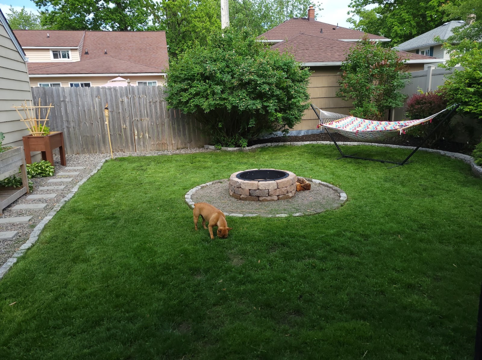 Poochie Poo WNY - Pet Waste Removal