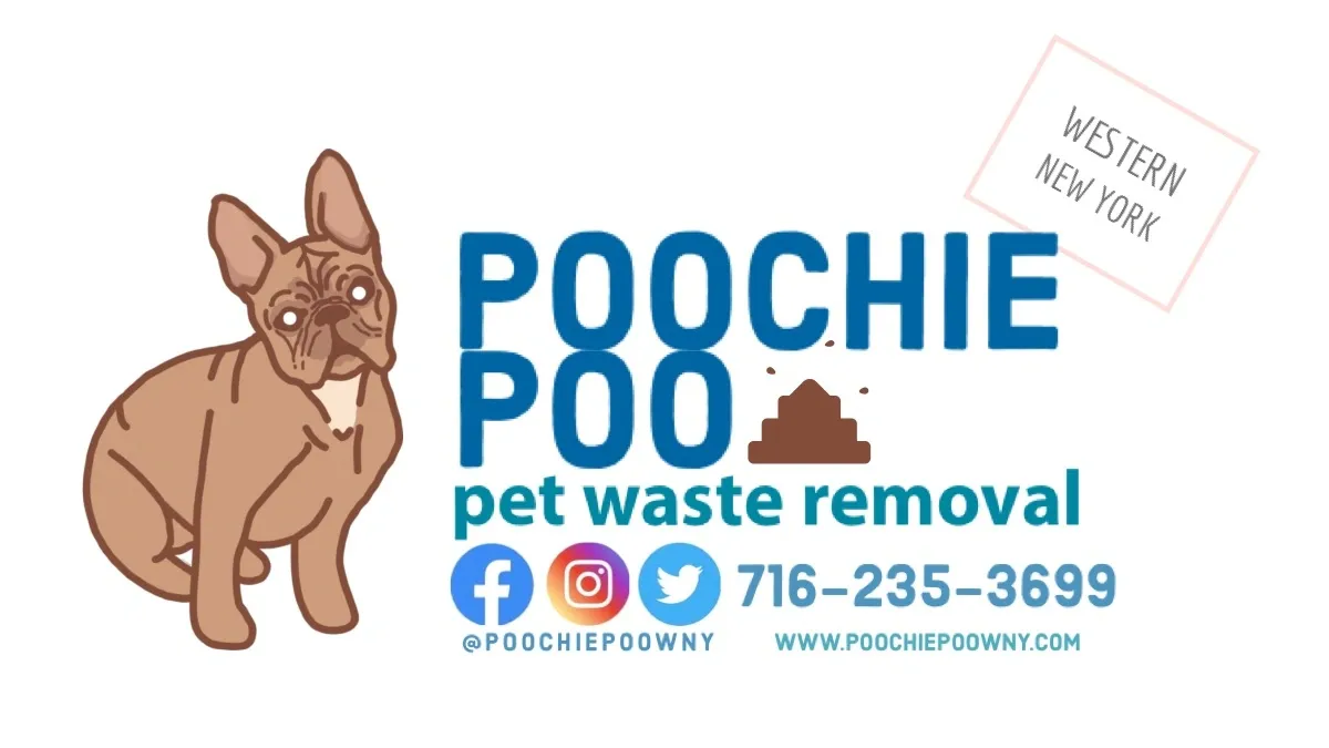 Poochie Poo WNY - Pet Waste Removal - Photo 3