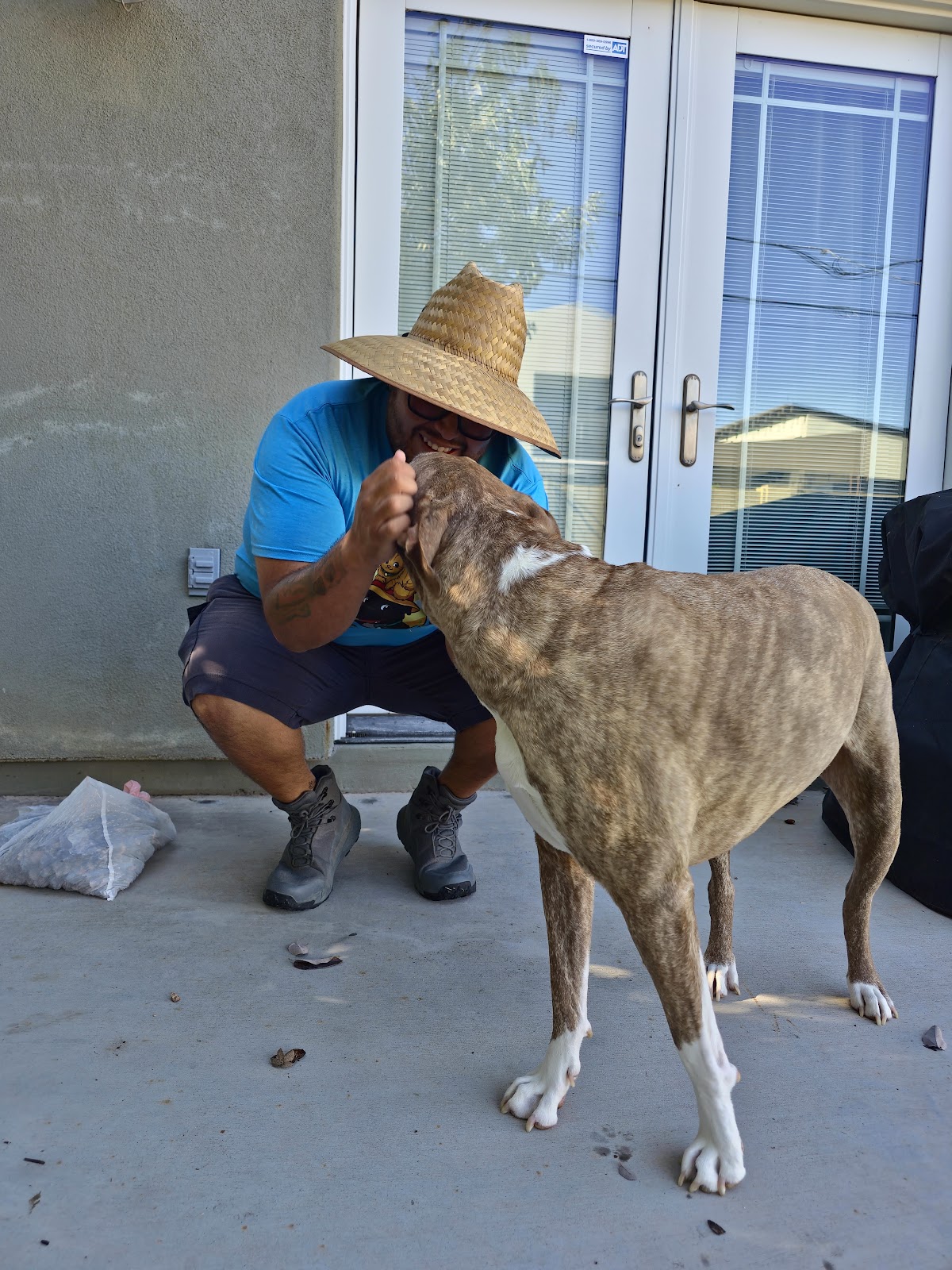 Los Scoopers - Photo 2