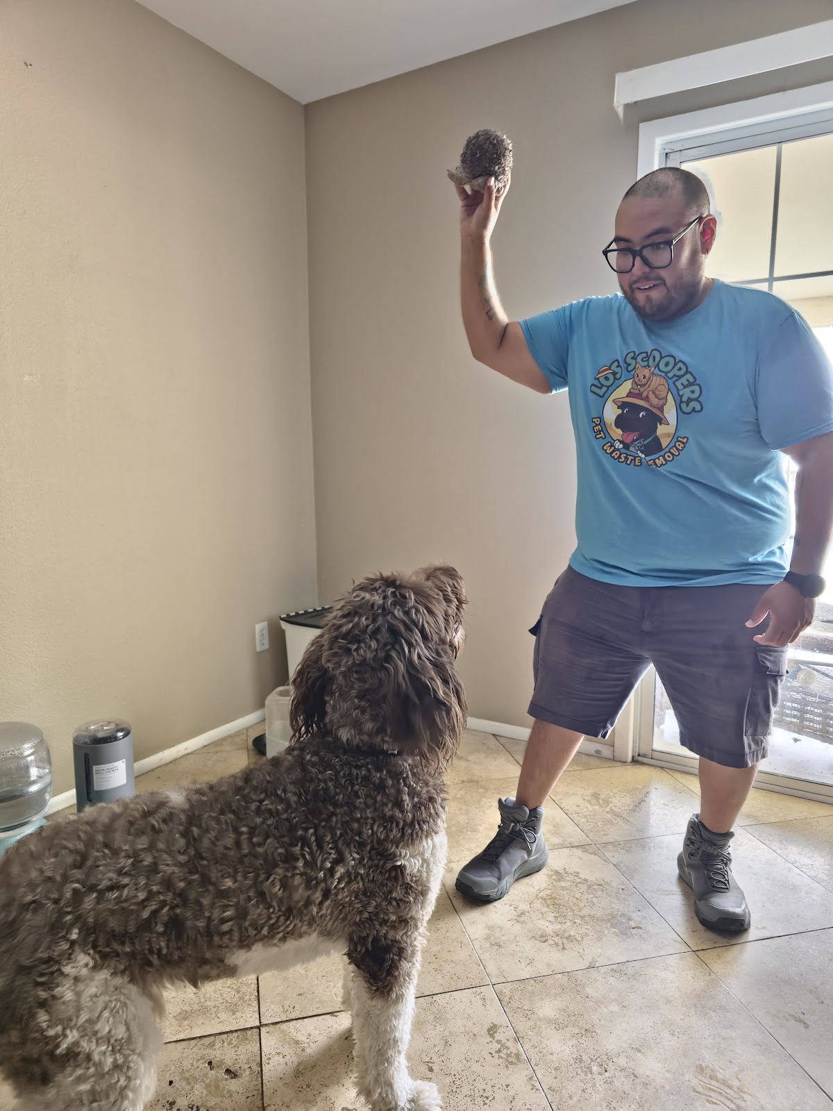 Los Scoopers - Photo 4