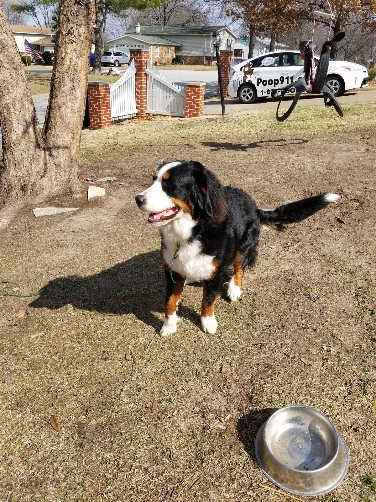 POOP 911 St. Louis - Photo 3