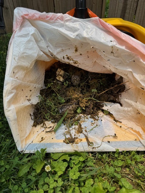 Dark Matter Pet Waste Removal