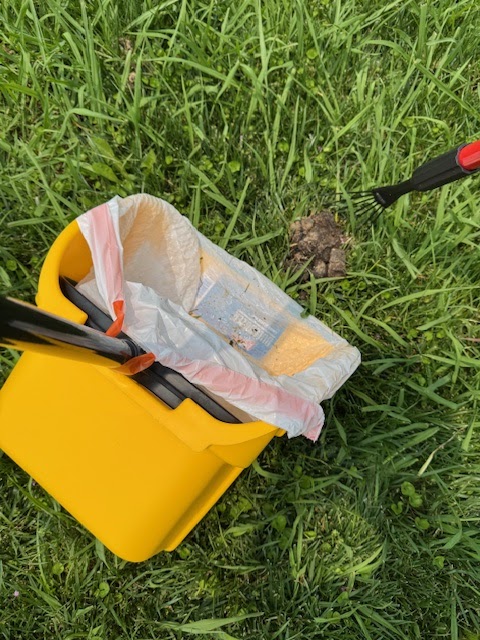 Dark Matter Pet Waste Removal - Photo 2