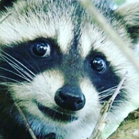 Pooper Scoopers, Inc.