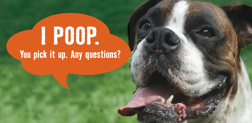 Verde Valley Poo Patrol - Photo 2