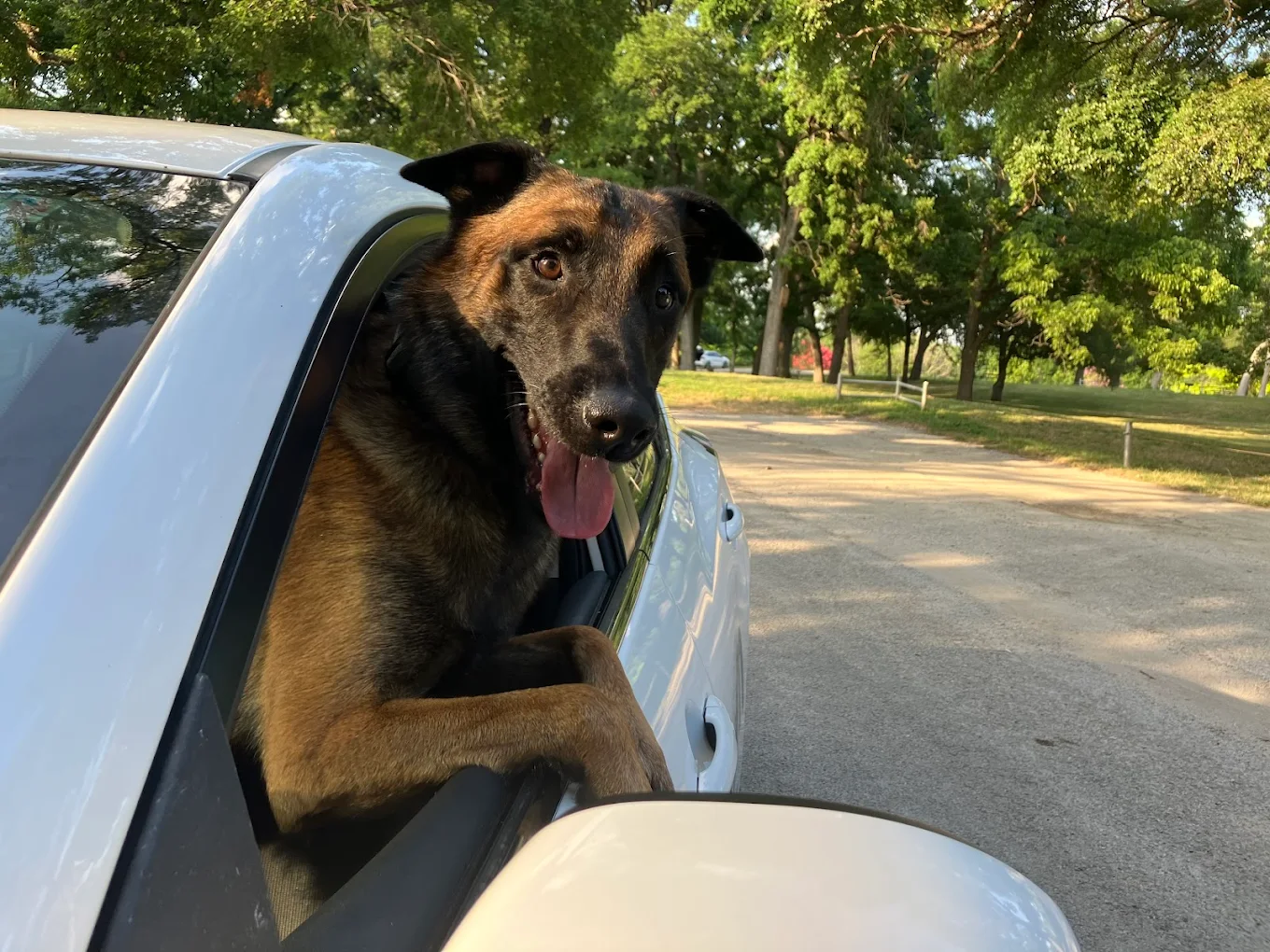 Poop 911 Saratoga Springs Utah - Photo 4