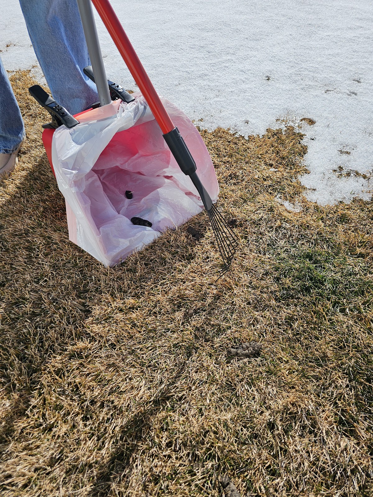 The Doo Squad - Poop Scooping Idaho