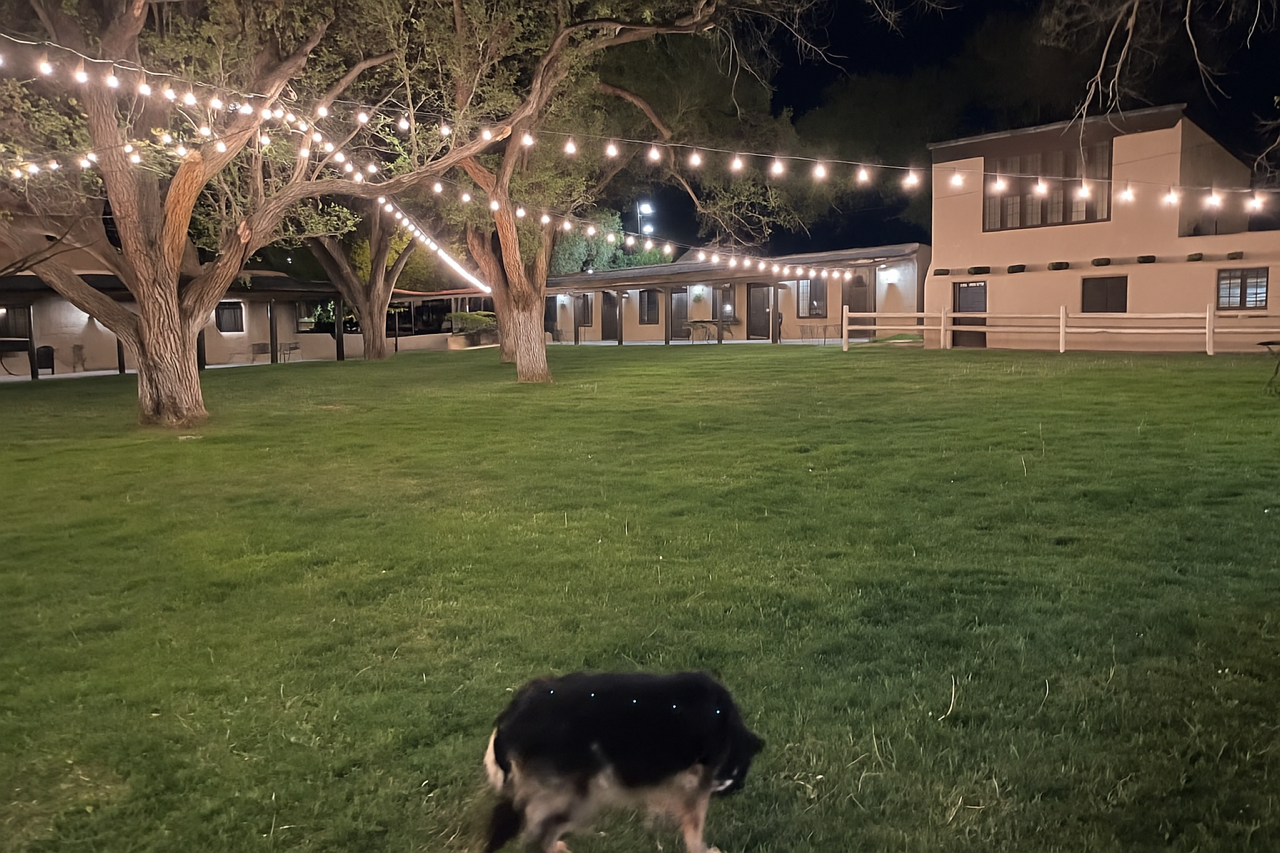 Puppy Pollution Solution LLC - Photo 2