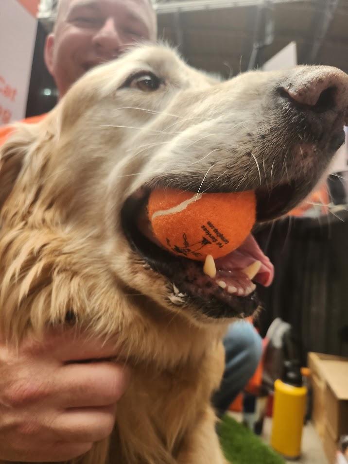 Cut the Crap Pet Sevices