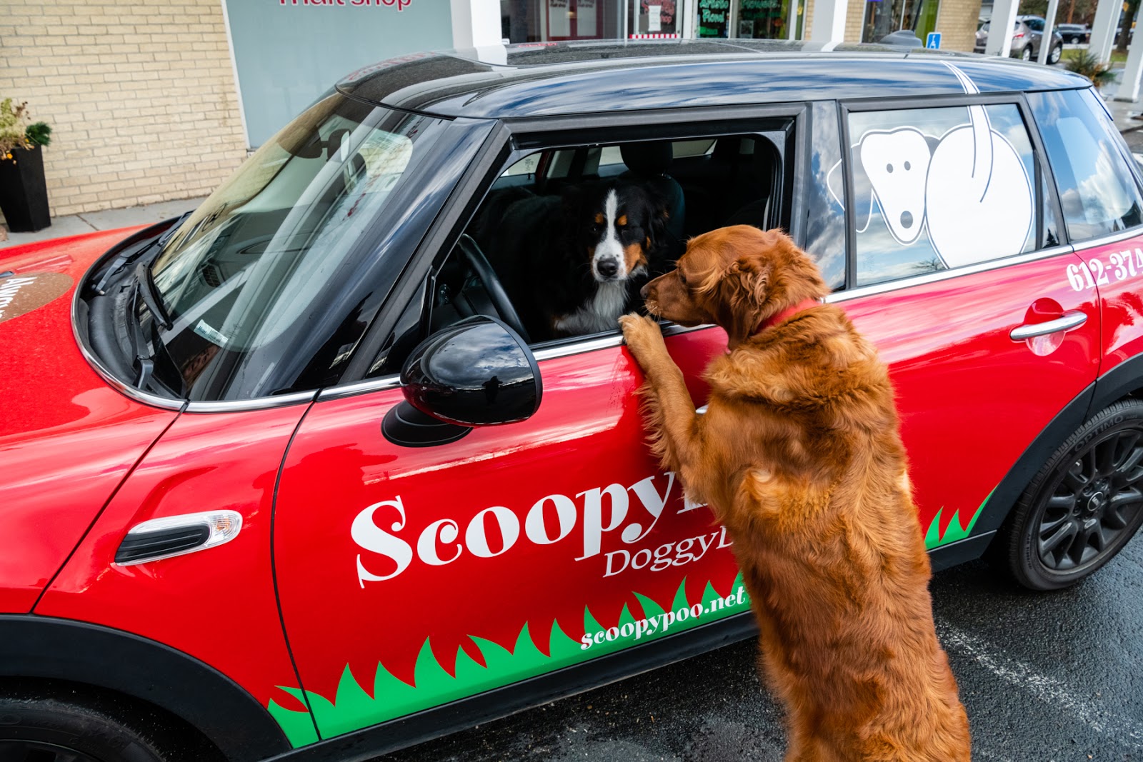 Scoopy Poo - Photo 2