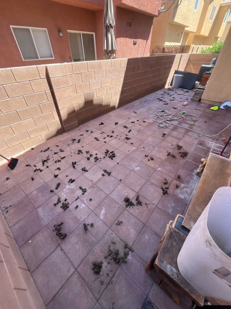 Scoop Hero Vegas - Photo 2